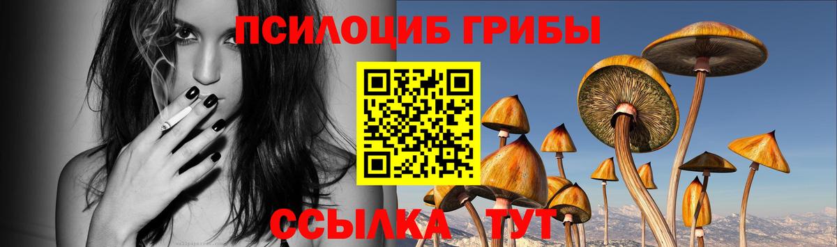 Галлюциногенные грибы прущие грибы  Вход с VPN  что такое наркотик  Котлас 