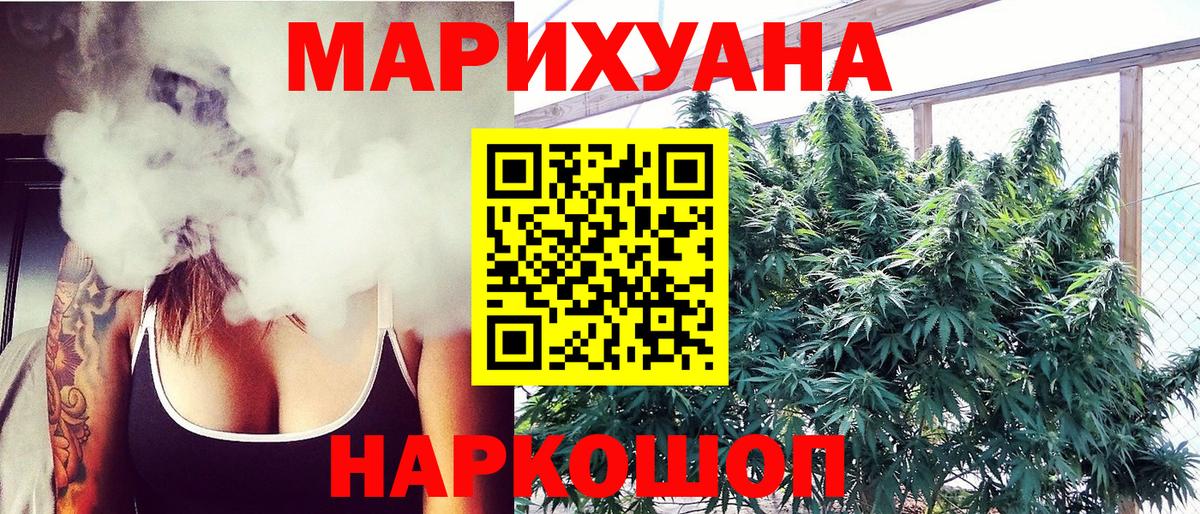 Бошки Шишки семена Котлас